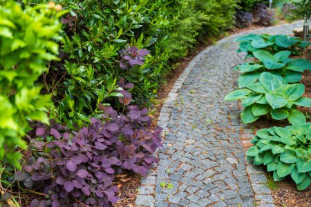 A landscaped garden path made of stone, winding through lush greenery and vibrant purple foliage. The scene depicts a serene backyard oasis, perfect for relaxation and enjoyment of natures beauty.