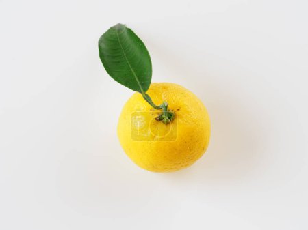 Japanische Yuzu-Früchte auf weißem Hintergrund