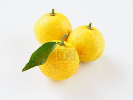Japanische Yuzu-Früchte auf weißem Hintergrund
