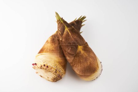 bamboo sprouts  on white background    