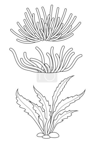 Hand-drawn illustration of coral and seaweed coloring page for kids and adults.