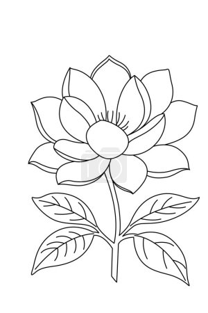Coloriage Magnolia. Livre de coloriage illustration fleur 