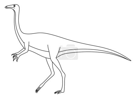 Gallimimus para colorear página. Lindo dinosaurio plano aislado sobre fondo blanco