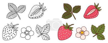 Set of Strawberry Coloring Page