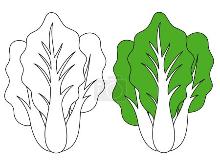 Bok Choy Vegetal Ilustración vectorial aislada Página para colorear