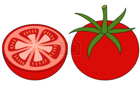 Tomate Isolated Vector Illustration Hand gezeichnet