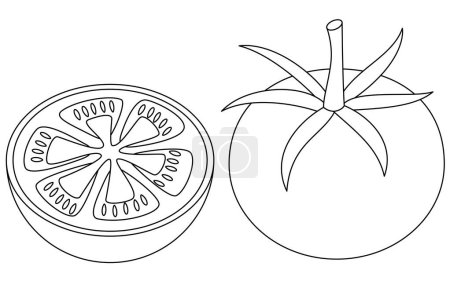 Tomato Isolated Vector Illustration Coloring Page For Kids