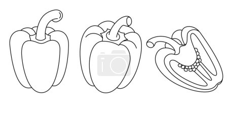Pepper Isolated Vector Illustration Coloring Page For Kids