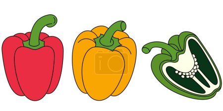 Set of Colorful Pepper Isolated Vector Illustration Hand Drawn