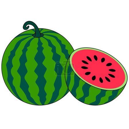 Watermelon Isolated Vector Illustration Hand Drawn 
