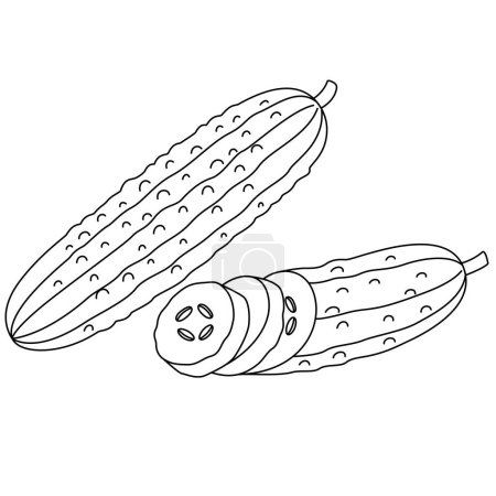 Illustration vectorielle isolée de concombre Coloriage dessiné à la main pour enfants