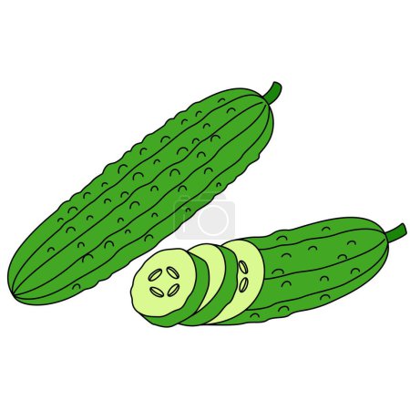 Illustration vectorielle isolée au concombre dessinée à la main 