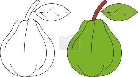 Guava Isolated Vector Illustration Coloring Page Hand Drawn for Kids 