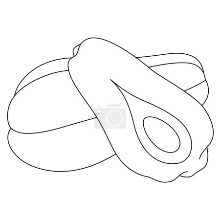 Chayote Isolated Vector Illustration Coloring Page Hand Drawn for Kids 