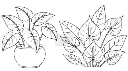 Patterned Potted Queen Caladium and Floral Plant Patterned Anthurium Floral (en inglés). Planta contorno para colorear página