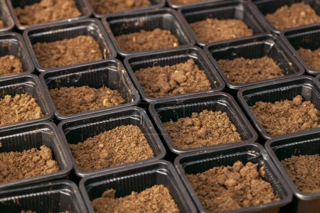 Photo for Planting seeds in spring. Plastic pots with fertile soil for planting seeds and seedlings - Royalty Free Image