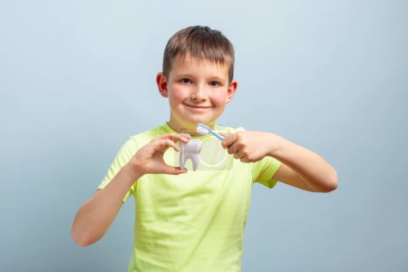 Lächelnder kleiner Junge, der ein Zahnmodell und eine Zahnbürste in der Hand hält und auf blauem Hintergrund die richtige Zahnpflege veranschaulicht.