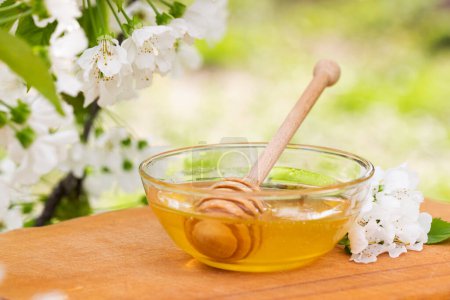 Photo for Honey dipper resting in a glass bowl filled with honey, white blossoms adorning the side. - Royalty Free Image