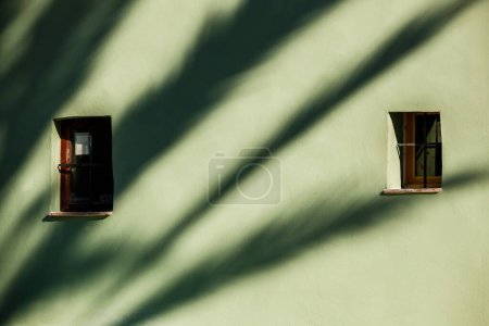 Photo for Palm tree shadows on the facades of the old town - Royalty Free Image