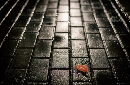 Photo for Leaf in the rain on the cobblestones of Villajoyosa - Royalty Free Image