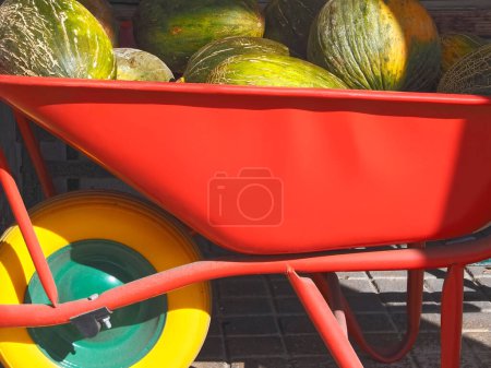 Téléchargez les photos : Groupe de melons entiers dans une brouette rouge - en image libre de droit