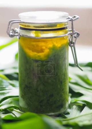 Téléchargez les photos : Cuisson à l'ail sauvage Allium ursinum pesto conservé dans un verre - en image libre de droit