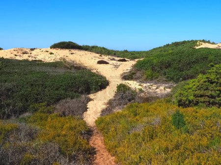 Wonderful hike of the fishermans trail named Rota Vicentina through the beautiful nature of Portugal