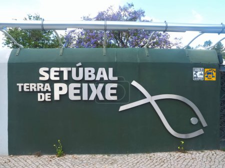 Téléchargez les photos : Espèce de poisson avec explication dans le pays des poissons nommé Terra de Peixe à Setubal au Portugal - en image libre de droit
