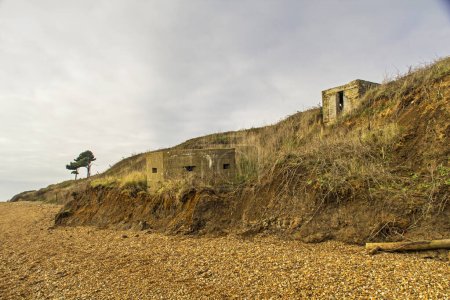 Photo for WW2 defences slipping down the cliffside due to coastal erosion between bawdsey and shingle street on the suffolk coast. - Royalty Free Image