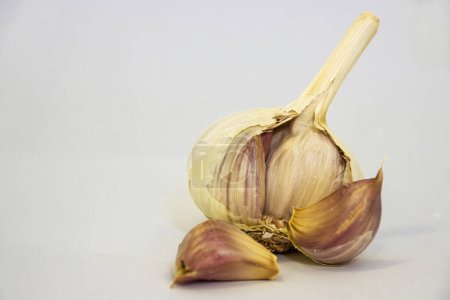 Photo for A single bulb of fresh garlic and separate cloves against a plain background. High quality photo - Royalty Free Image