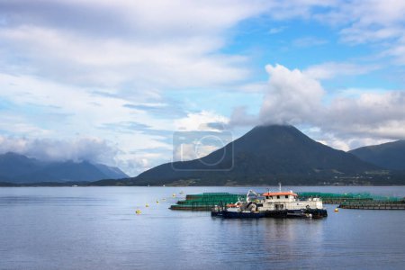 Norwegische Fischfarmnetze und Schiffe vor der Küste des Festlandes. Hochwertiges Foto