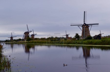 Molinos de viento en Kinderdijk, Países Bajos

