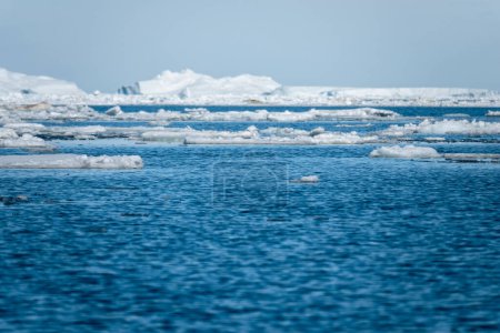 Photo for Sea ice melting in the Weddell Sea during the Antarctic summer - Royalty Free Image
