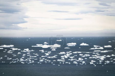 Photo for Hundreds of icebergs drifting in the Weddell Sea, shot from the helicopter near the Vega Island in Antarctica - Royalty Free Image