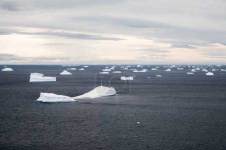 Téléchargez les photos : Vue aérienne du paysage antarctique : icebergs dérivants de différentes formes dans la mer de Weddell par une journée enneigée près de l'île Vega, Antarctique - en image libre de droit