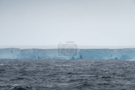 Photo for The largest iceberg in the world A23a drifting off the Antarctica into the Scotia Sea - Royalty Free Image