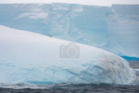 Téléchargez les photos : Silhouettes de pingouins au sommet de l'immense iceberg dérivant au large de la côte antarctique - en image libre de droit