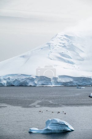 Photo for Expedition tourists kayaking in Antarctica - Royalty Free Image