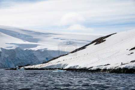 Pinguine erklimmen die Pinguinstraße im Schnee von Palaver Point, zwei Hummock-Inseln, Antarktische Halbinsel, Blick vom Meer.