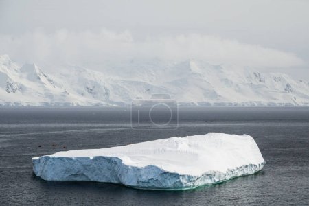 Péninsule Antarctique, Palaver Point. Grand iceberg dérivant devant les montagnes enneigées.