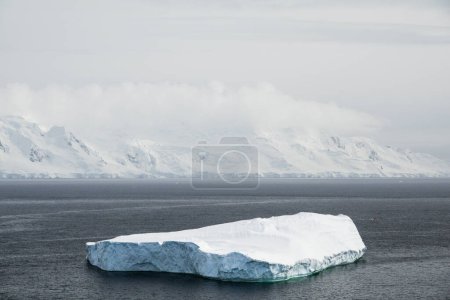 Beau grand iceberg tabulaire blanc dérivant dans l'océan Austral à l'archipel de Palmer, péninsule Antarctique, Antarctique