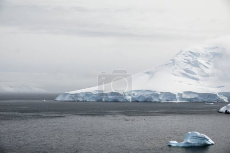 Foto de Nieve y hielo en la costa de la Isla Dos Hummock en la Antártida - Imagen libre de derechos