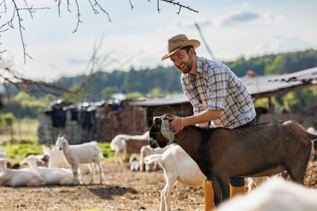 Male farmer taking care of his cute goats. Young rancherman getting pet therapy. Animal husbandry for the industrial production of goat milk dairy products. Agriculture business and cattle farming