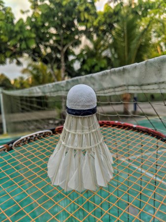Photo for Batminton ball for sports - Royalty Free Image