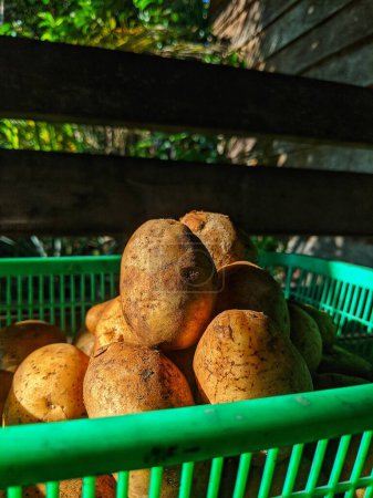Whole potatoes in a plastic cage
