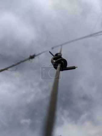 Photo for The knotted black cable acts as a support - Royalty Free Image