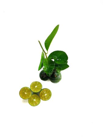 Téléchargez les photos : Fruits frais kaffir citron vert avec un fond blanc - en image libre de droit