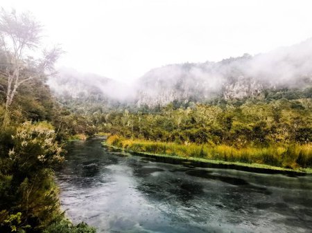 Foto de Buceo a la deriva en los ríos del interior - Imagen libre de derechos