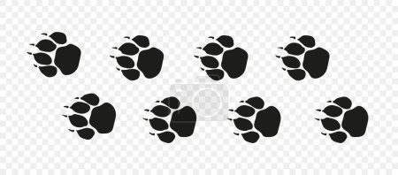 Illustration for Tiger or lion paw footprint way. Lion paws walking randomly print vector isolated on white background. Vector animal steps in black color. - Royalty Free Image