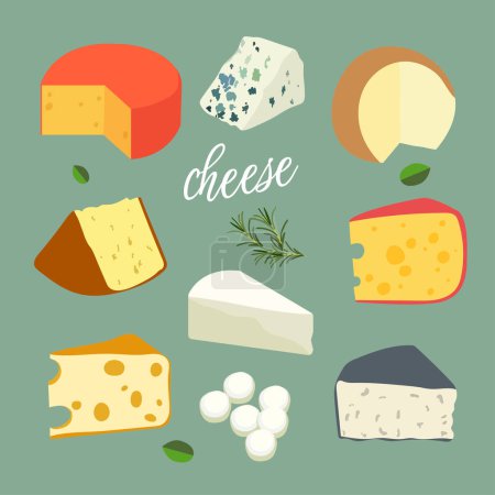 Illustration for Set with different types of cheese. Cheese set isolated on green background. An assortment of hard, soft, moldy, spiced cheeses made from cow, sheep or goat milk. - Royalty Free Image